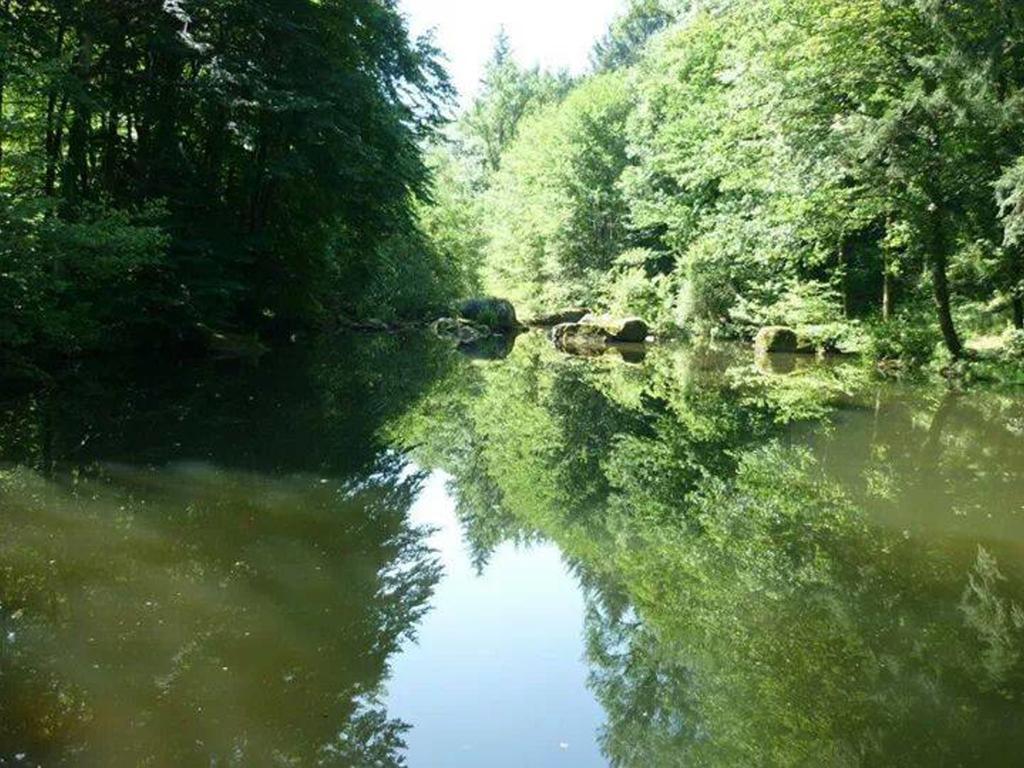 Вилла Moulin De Record Ferrieres  Экстерьер фото