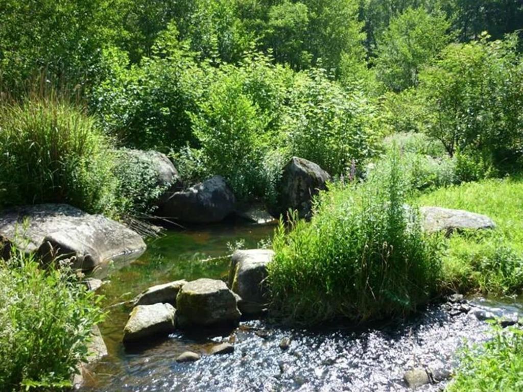 Вилла Moulin De Record Ferrieres  Экстерьер фото